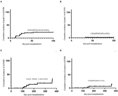 Haploidentical Stem Cell Transplantation With a Novel Conditioning Regimen in Older Patients: A Prospective Single-Arm Phase 2 Study